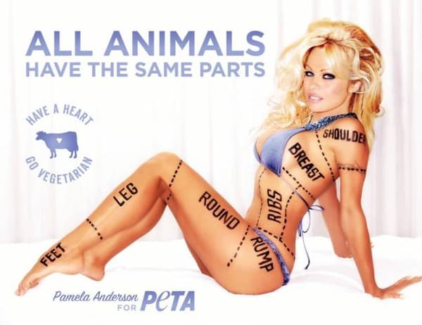 Pamela Anderson égérie d'une campagne de la PETA, en 2010. Pamela Anderson égérie d'une campagne de la PETA, en 2010.