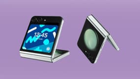 Samsung vous propose le Galaxy Z Flip 5 à prix fou pour quelques jours encore