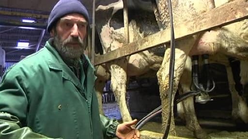 Producteur de lait dans le Nord, Bruno vend son lait à perte.