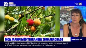 Planète locale du lundi 18 septembre - Jardins azuréens : limiter sa consommation d'eau