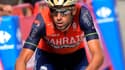 Vincenzo Nibali