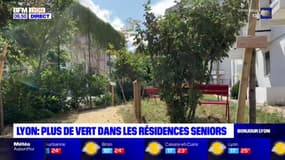 Lyon: plus de vert dans les résidences seniors