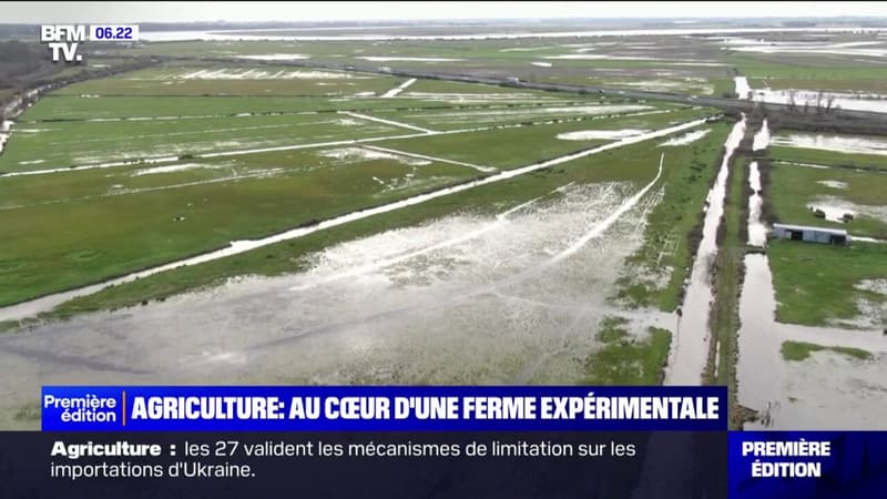 Agriculture: au coeur d'une ferme expérimentale biologique en plein milieu des marais de Charente-Maritime