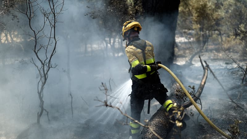 Espagne: l'incendie à la frontière du Portugal a ravagé plus de 11.000 hectares en 24h