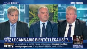 Le cannabis bientôt légalisé en France ?