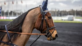 Emeraude de Bais sacrée dans le Grand Critérium de Vitesse de la Côte d'Azur