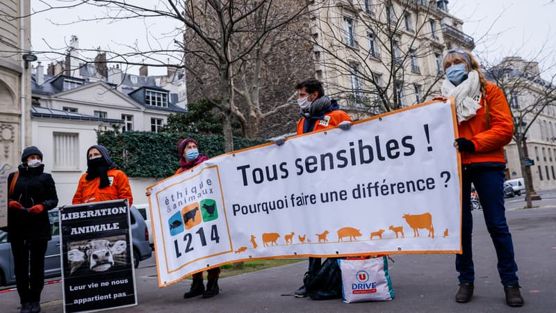 Des membres de l'association L214 aux côtés de militants de formations politiques défendant la cause animale aux abords de l'Assemblée nationale le 26 janvier 2021