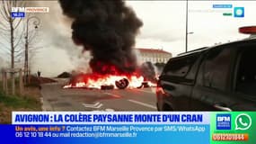 Avignon : la colère agricole monte d'un cran
