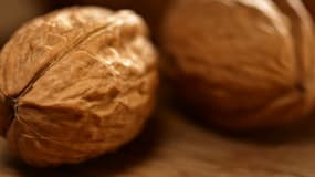 La France est le 2e producteur européen de noix derrière la Roumanie.