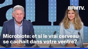 Microbiote: et si le vrai cerveau se cachait dans votre ventre?