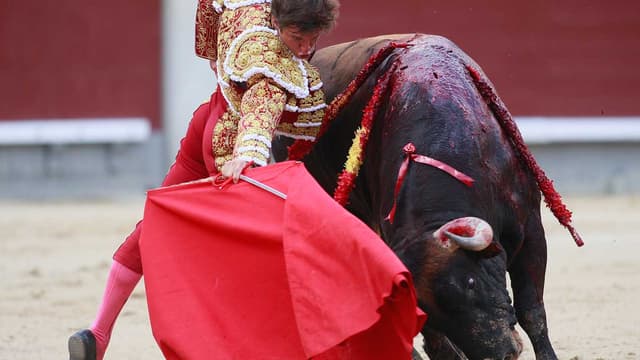 Une corrida à Madrid, le 13 mai. (Photo d'illustration)
