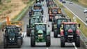 Des centaines d'agriculteurs vont manifester à Paris ce mercredi (image d'illustration).