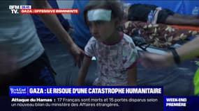 Face au manque de ravitaillement de la bande de Gaza, le risque d'une catastrophe humanitaire