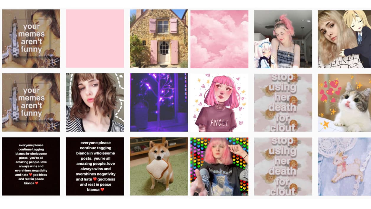 Captures d'écran des publications qui identifient le compte Instagram de Bianca Devins