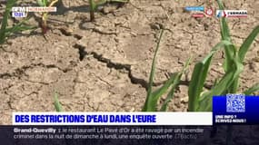 Des restrictions d'eau mises en place dans l'Eure