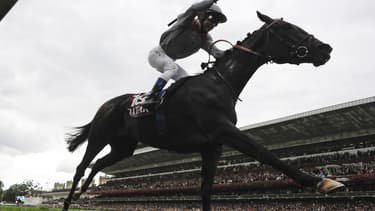 Le Qatar Prix de l'Arc de Triomphe 2014 se déroulera le dimanche 5 octobre à l'hippodrome de Longchamp.