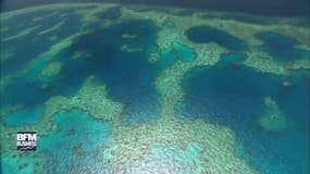 La Grande Barrière de Corail a une valeur : 37 milliards d'euros