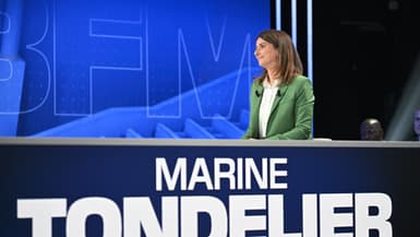 Marine Tondelier, Face à BFM, le 03/07/24