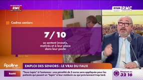 Emploi des seniors : le vrai du faux