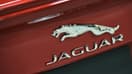 Un logo de la marque automobile Jaguar sur un véhicule, lors du salon de l'automobile de Washington DC, le 27 janvier 2016 (photo d'illustration).