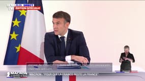 Emmanuel Macron: "Notre pays manque de travailleurs (...) Nous devons former davantage selon les besoins de la Nation" 
