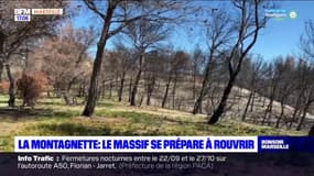 Bouches-du-Rhône: le massif de la Montagnette se prépare à rouvrir