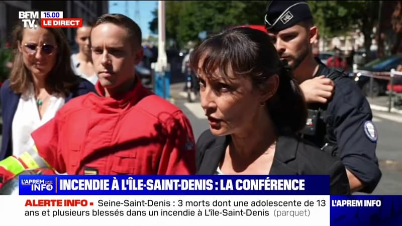 Incendie à l'Ile-Saint-Denis: la préfète déléguée fait état de 