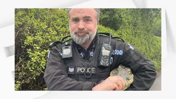 Le policier britannique en train de plaisanter avec la tête de crocodile factice.