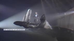 Il a fendu la foule, est arrivé dans une main géante... Johnny, c'était le patron des grands shows