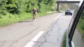 Andrea Guardini