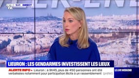 Rave party à Lieuron : la fête est finie ! - 02/01