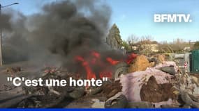 Crise agricole: au cœur des colères dans les exploitations