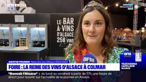 Colmar: la reine des vins d'Alsace présente à la Foire aux vins