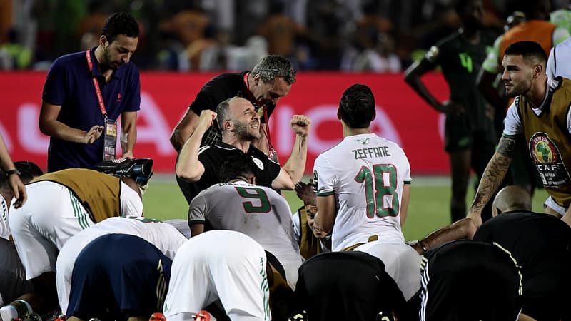Djamel Belmadi après la qualification de l'Algérie en finale de la Coupe d'Afrique des nations, au Caire le 14 juillet 2019