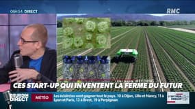 La chronique d'Anthony Morel : Ces startups qui inventent la ferme du futur - 21/02