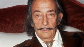 Le peintre espagnol Salvador Dali, le 13 décembre 1972 à Paris