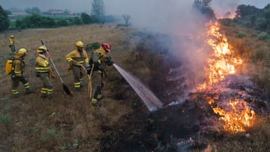 Des pompiers luttent contre un incendie à Pumarejo de Tera, en Espagne, le 18 juin 2022