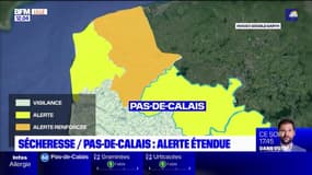 Sécheresse dans le Pas-de-Calais: trois nouveaux bassins versants placés en alerte sécheresse