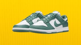 Nike Dunk Low