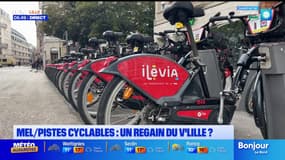 Métropole de Lille: comment se porte le V'Lille, treize ans après son lancement? 