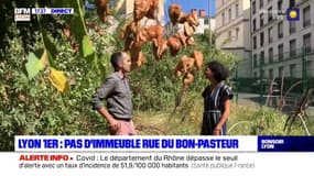Lyon: pas d'immeuble rue du Bon-Pasteur