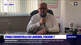 Alpes-de-Haute-Provence: la Chambre d'agriculture défend l'huile de lavande