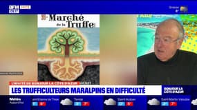 "Avec les fortes chaleurs on ne s'en sort pas": la truffe azuréenne touchée par le réchauffement climatique