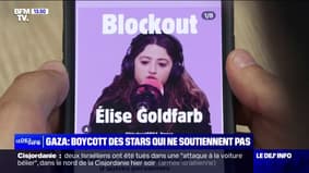 "Blockout": l'appel au boycott des stars qui ne soutiennent pas les Palestiniens s'importe en France
