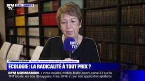 Corinne Lepage: "Le terme d'écoterrorisme est totalement impropre"