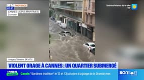 JT du Sud du lundi 23 septembre 