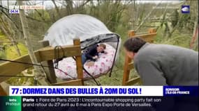 Ariane a testé les bulles dans les arbres !