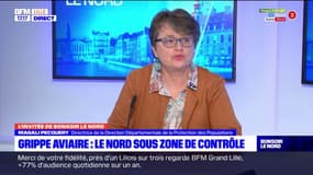 Un risque de grippe aviaire toujours présent dans le Nord