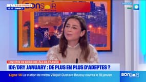 Le dry january fait-il de plus en plus d'adeptes en Île-de-France? 