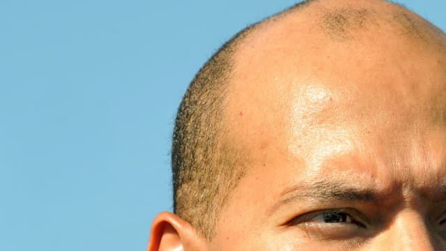 Karim Wade en 2008